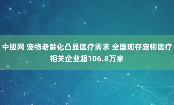 中股网 宠物老龄化凸显医疗需求 全国现存宠物医疗相关企业超106.8万家