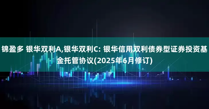 锦盈多 银华双利A,银华双利C: 银华信用双利债券型证券投资基金托管协议(2025年6月修订)