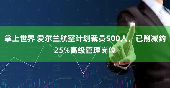 掌上世界 爱尔兰航空计划裁员500人，已削减约25%高级管理岗位